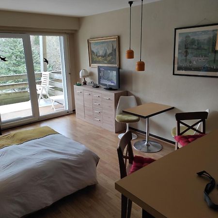 Residence Le Faucon - Col Du Donon Grandfontaine  Экстерьер фото