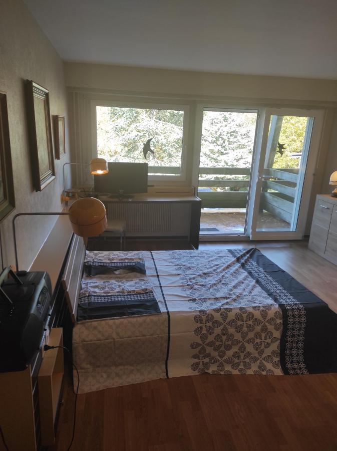 Residence Le Faucon - Col Du Donon Grandfontaine  Экстерьер фото