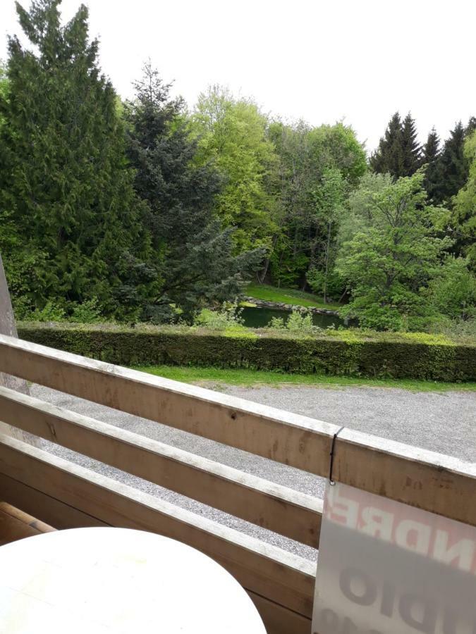 Residence Le Faucon - Col Du Donon Grandfontaine  Экстерьер фото